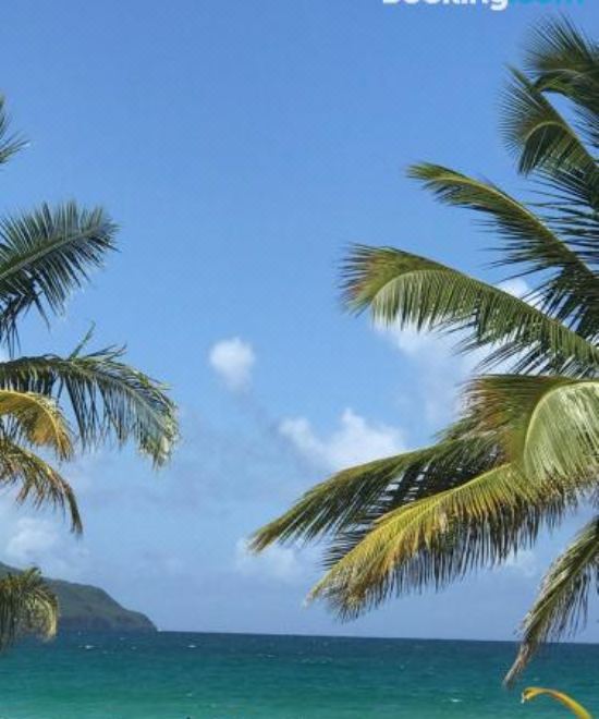 Hotel Vista Mare Ocean View Top Floor Condo, Samana, Exterior, Hotel Exterior