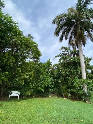 Hotel CIsland Experience, Exterior, Garden