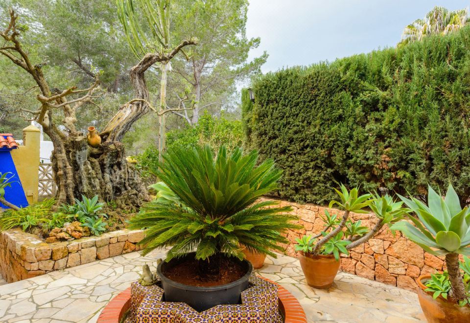 Hotel Villa Can Palazon, Exterior, Garden