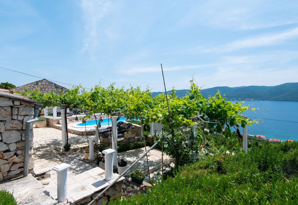 Hotel Anita, Exterior, Garden