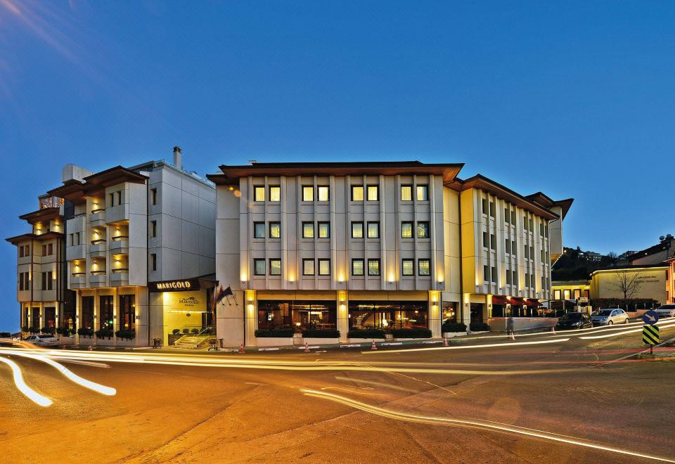 Hotel Marigold Thermal & Spa Hotel Bursa, Exterior, Hotel Exterior