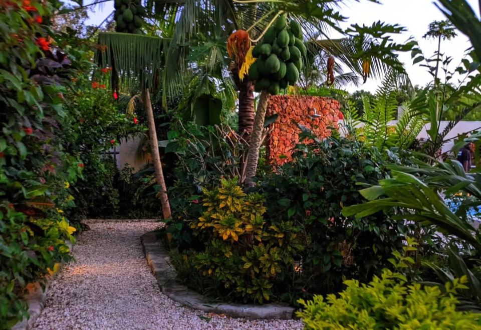 Hotel Hapahapa Zanzibar Bungalows, Exterior, Garden