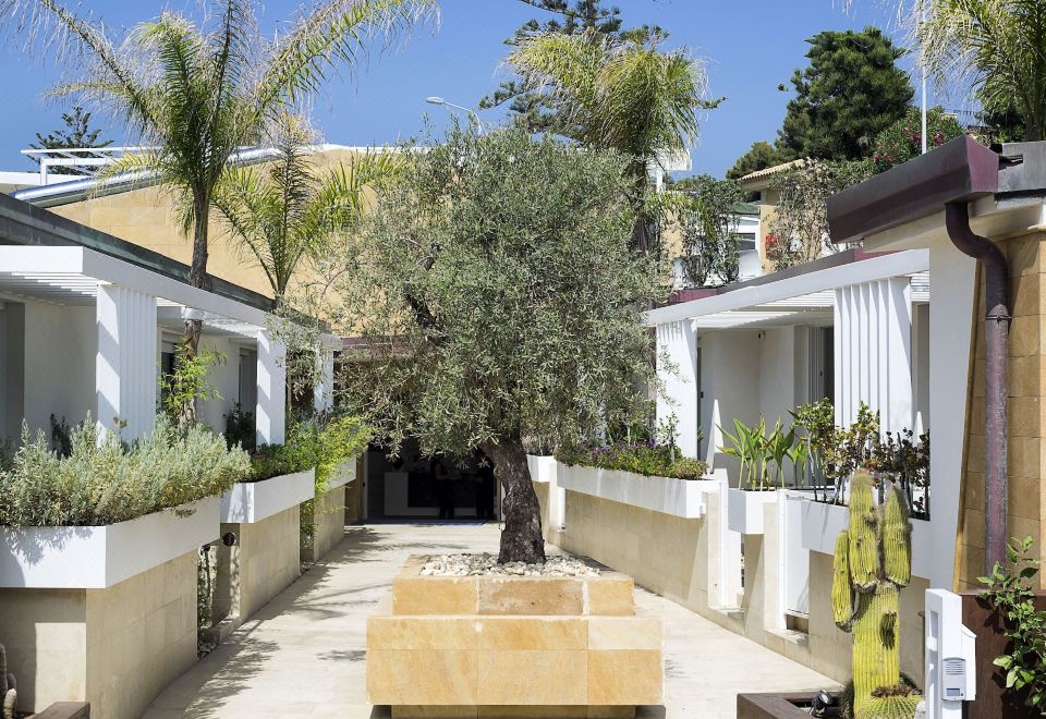 Hotel White Bay, Exterior, Garden