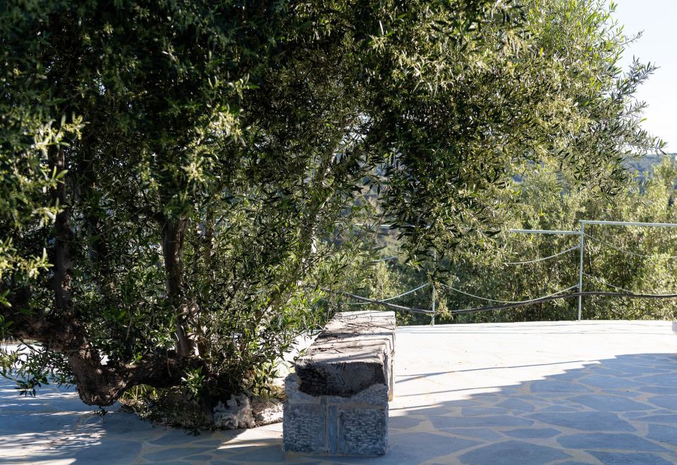 Hotel Sarakinas Residences, Exterior, Garden