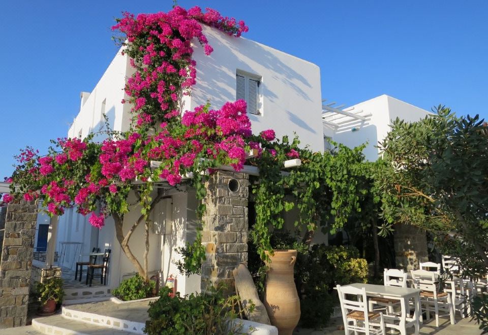 Hotel Zefi Hotel & Suites, Exterior, Garden