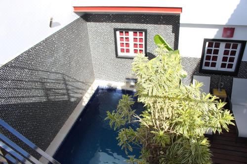 Hotel Casa Los Islas, Leisure & Recreation, Outdoor Swimming Pool