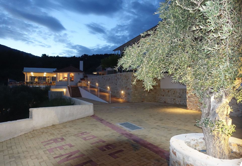 Hotel Rene, Exterior, Garden