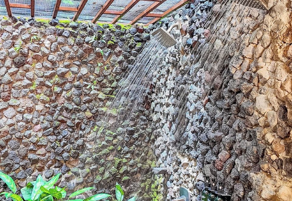 Hotel Lost Iguana Resort and Spa, Exterior, Garden