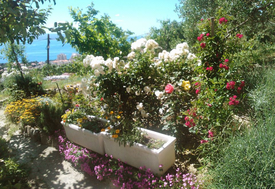Hotel Mira, Exterior, Garden