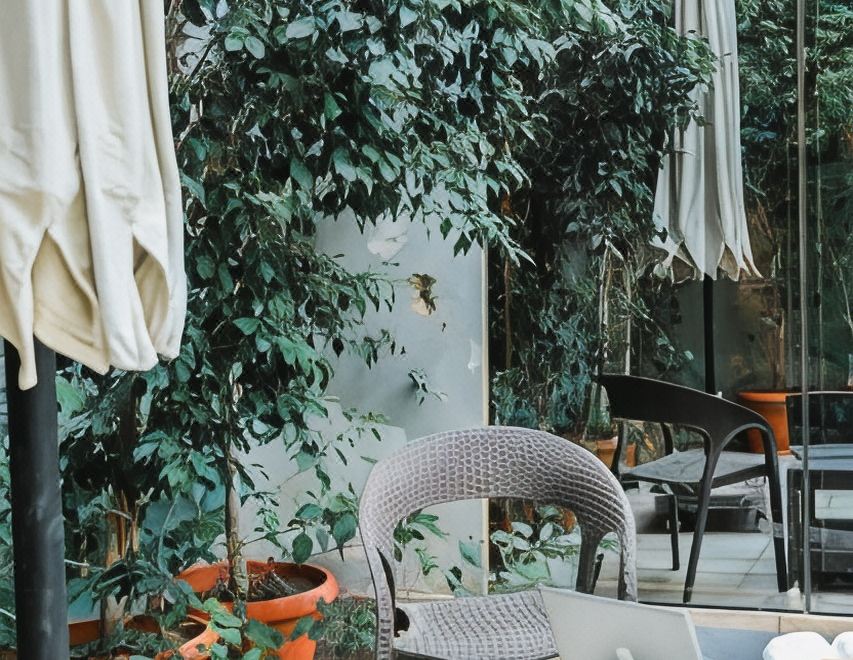 Hotel NewCity Hotel & Suites, Exterior, Garden