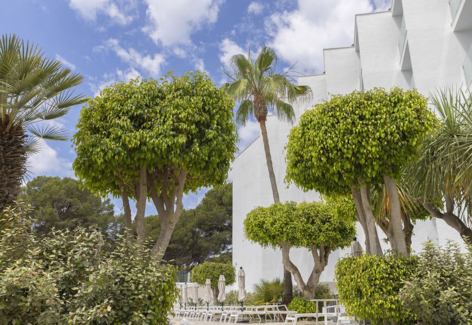 Hotel HM Isabela - Adults Only, Exterior, Garden