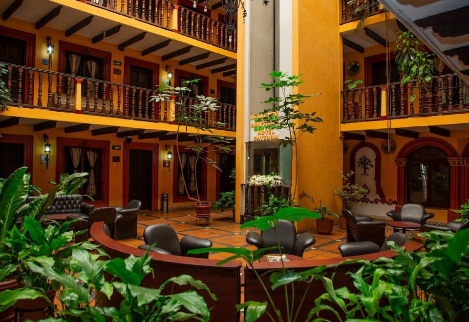 Hotel Catedral, Exterior, Garden