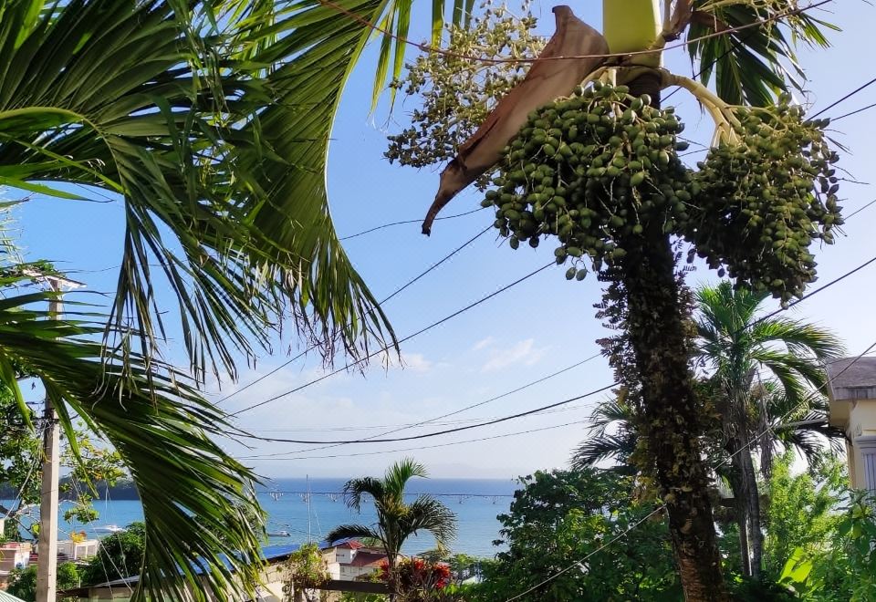 Hotel Bay View Apt Quiet Area Weekly/Monthly Discount, Near Hotel, Surroundings