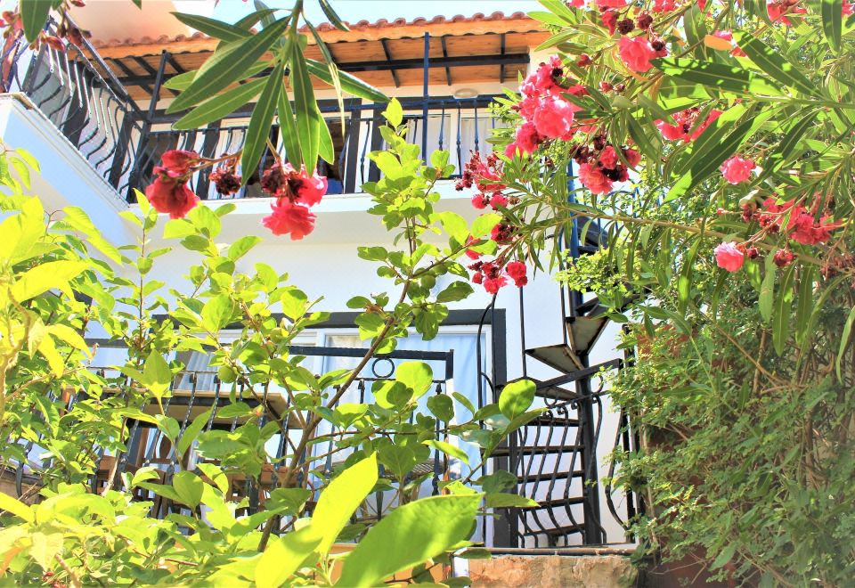 Hotel Villa Asoa, Exterior, Hotel Exterior