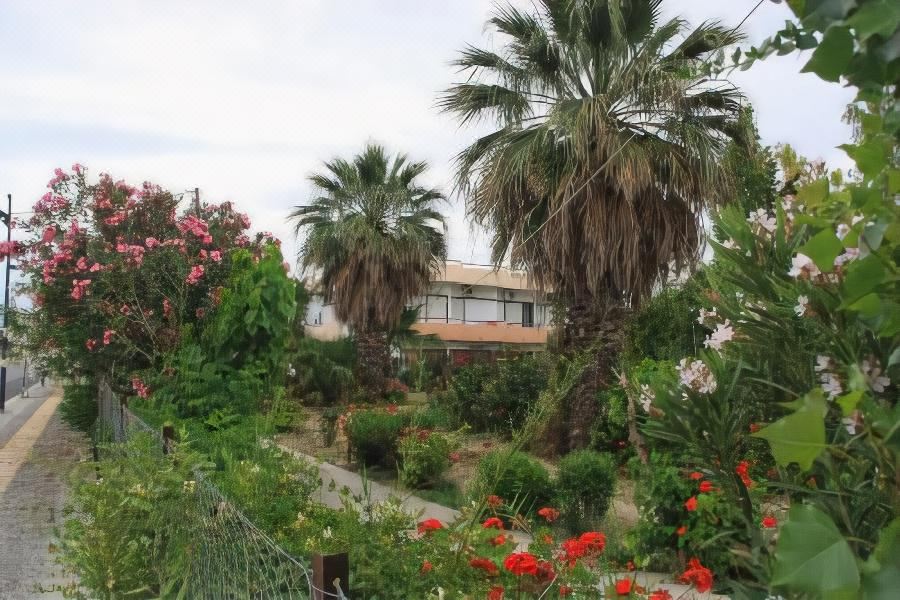 Hotel Violetta Hotel, Exterior, Garden