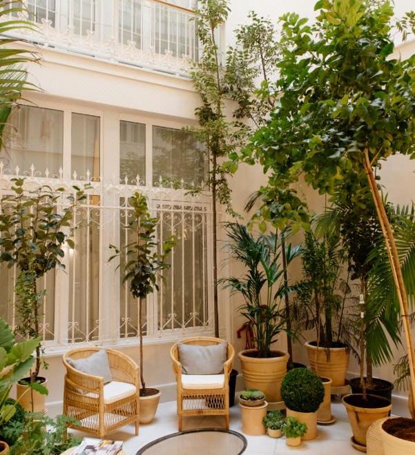 Hotel Plaza Mina Suites - Adults Recommended by Luxury Suites Cadiz, Exterior, Garden