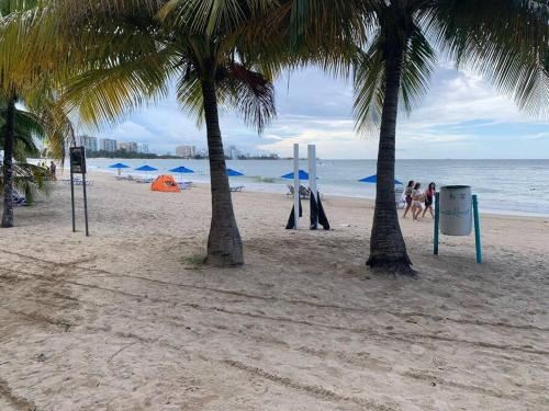 Hotel Cozy Oceanview Studio w Parking, Near Hotel, Surroundings