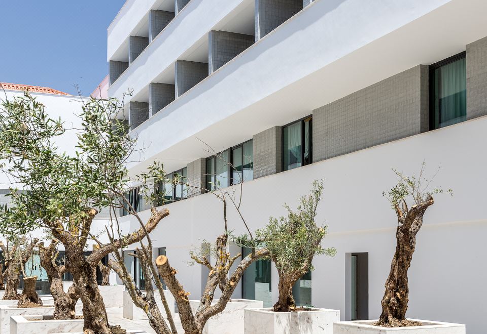 Hotel Evora Olive Hotel, Exterior, Garden