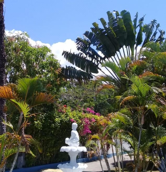 Hotel Palm Tree Guest House, Public Areas, Public Areas