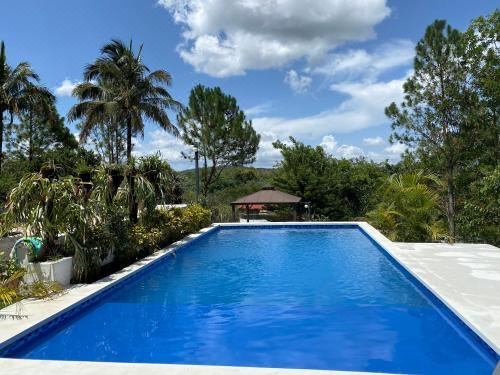 Hotel Haus Unter Palmen, Leisure & Recreation, Outdoor Swimming Pool