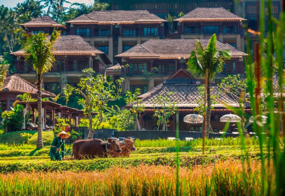 Hotel Mandapa, a Ritz-Carlton Reserve, Exterior, Hotel Exterior