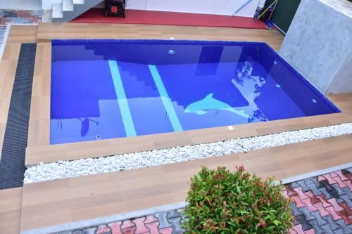Hotel Ceylon Relax Villa, Leisure & Recreation, Outdoor Swimming Pool