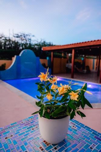 Hotel Villa Encantada Aruba, Leisure & Recreation, Outdoor Swimming Pool
