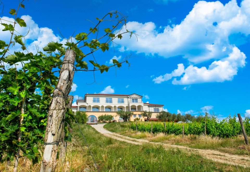 Hotel Wine Residence Cattunar, Exterior, Hotel Exterior