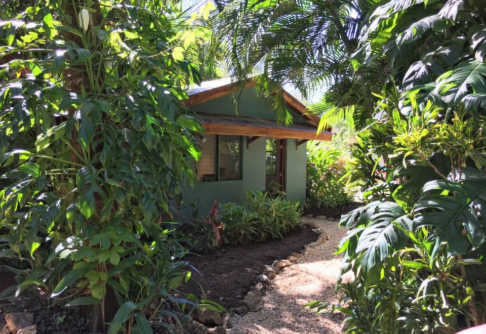 Hotel Harbor Reef, Exterior, Garden
