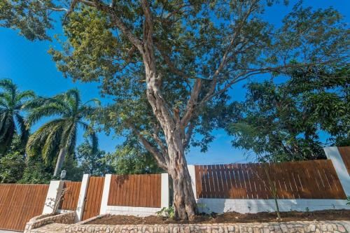 Hotel Magnificent 5-Bedroom Estate Villa, Sleeps 12, Exterior, Garden