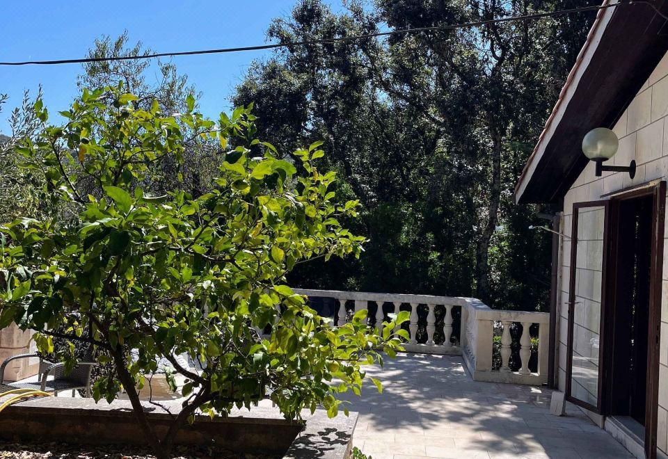 Hotel Holiday Home Božo, Exterior, Garden