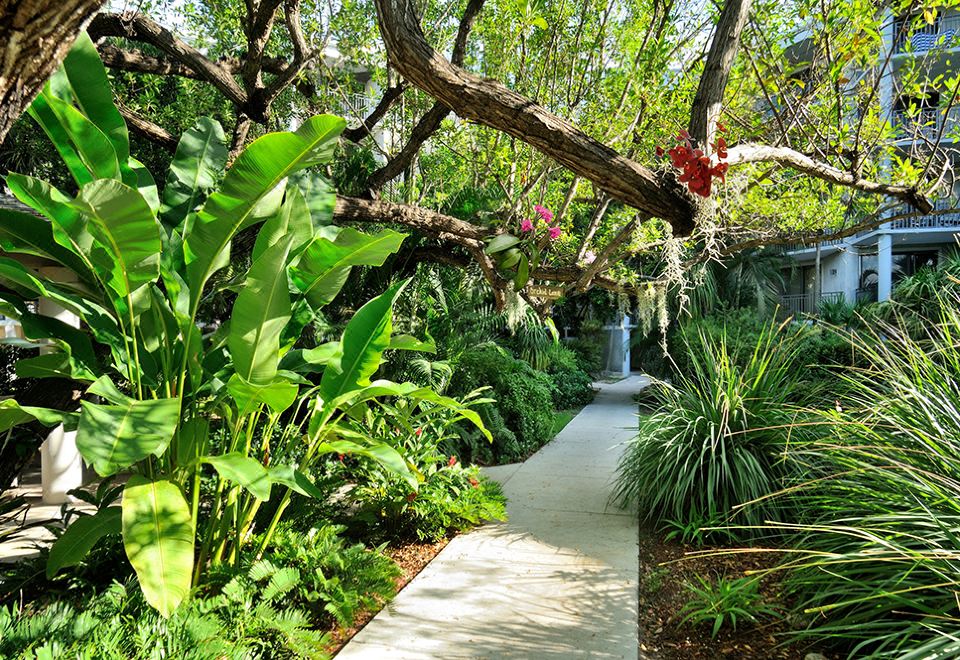 Hotel Resort-Style Amenities and Expansive Pool - Serene Coastal Retreat, Exterior, Garden