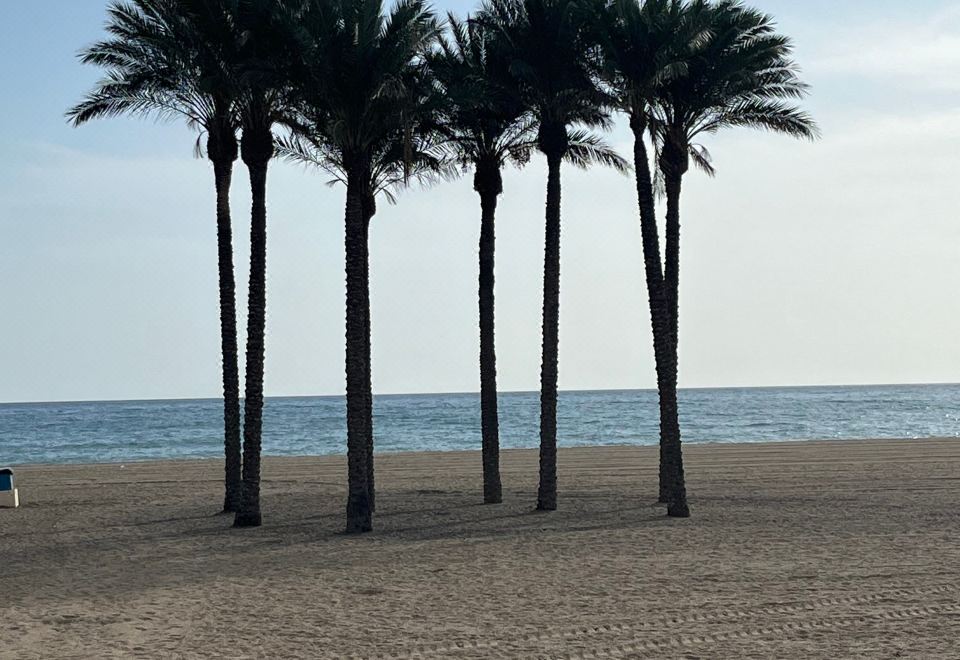 Hotel Two Bedroom Apartment on Front Line of the Beach, Leisure & Recreation, Beach