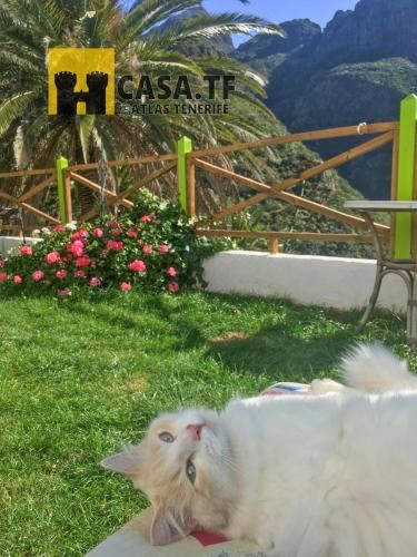 Hotel Sweet Home Masca, Public Areas, Public Areas