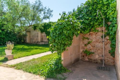 Hotel Es Turo 10, Exterior, Garden