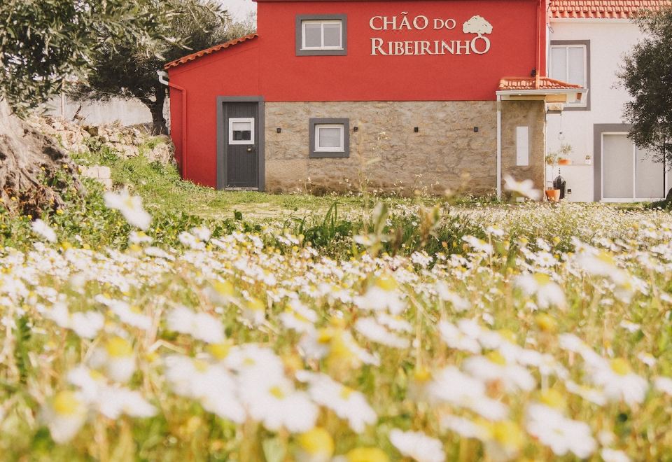 Hotel Chão do Ribeirinho, Castelo Branco, Exterior, Hotel Exterior