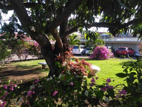 Hotel Irresistible View-Mobay Club 1408, Exterior, Garden