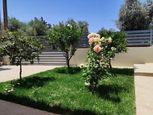 Hotel The Bright House a Two-Storey Maisonette in Loutraki, Exterior, Garden