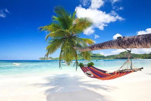 Hotel Magic Tropical, Leisure & Recreation, Beach