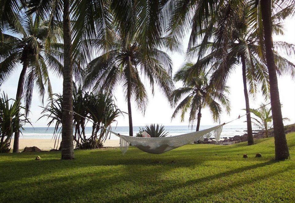 Hotel Las Alamandas, Exterior, Garden