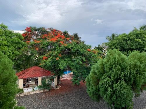 Hotel Villa Marcia, Exterior, Garden